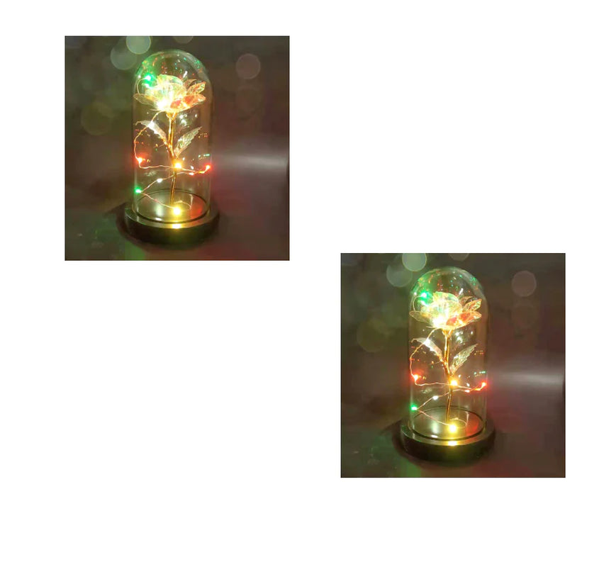 Led Light Glass Cover Rose Flower Micro Landscape