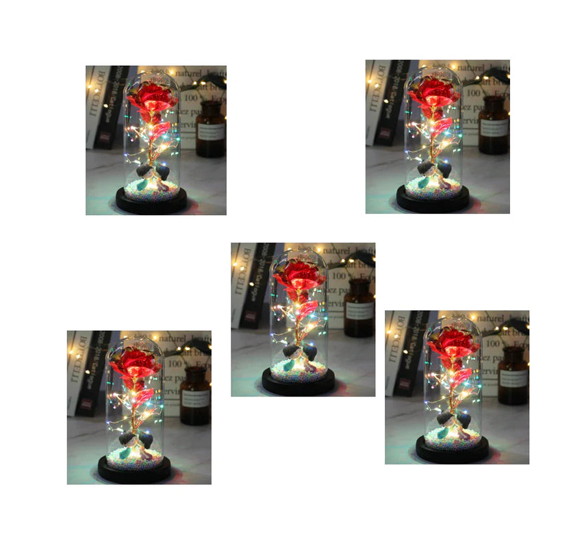 Led Light Glass Cover Rose Flower Micro Landscape