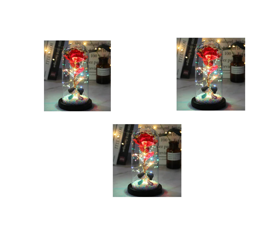 Led Light Glass Cover Rose Flower Micro Landscape